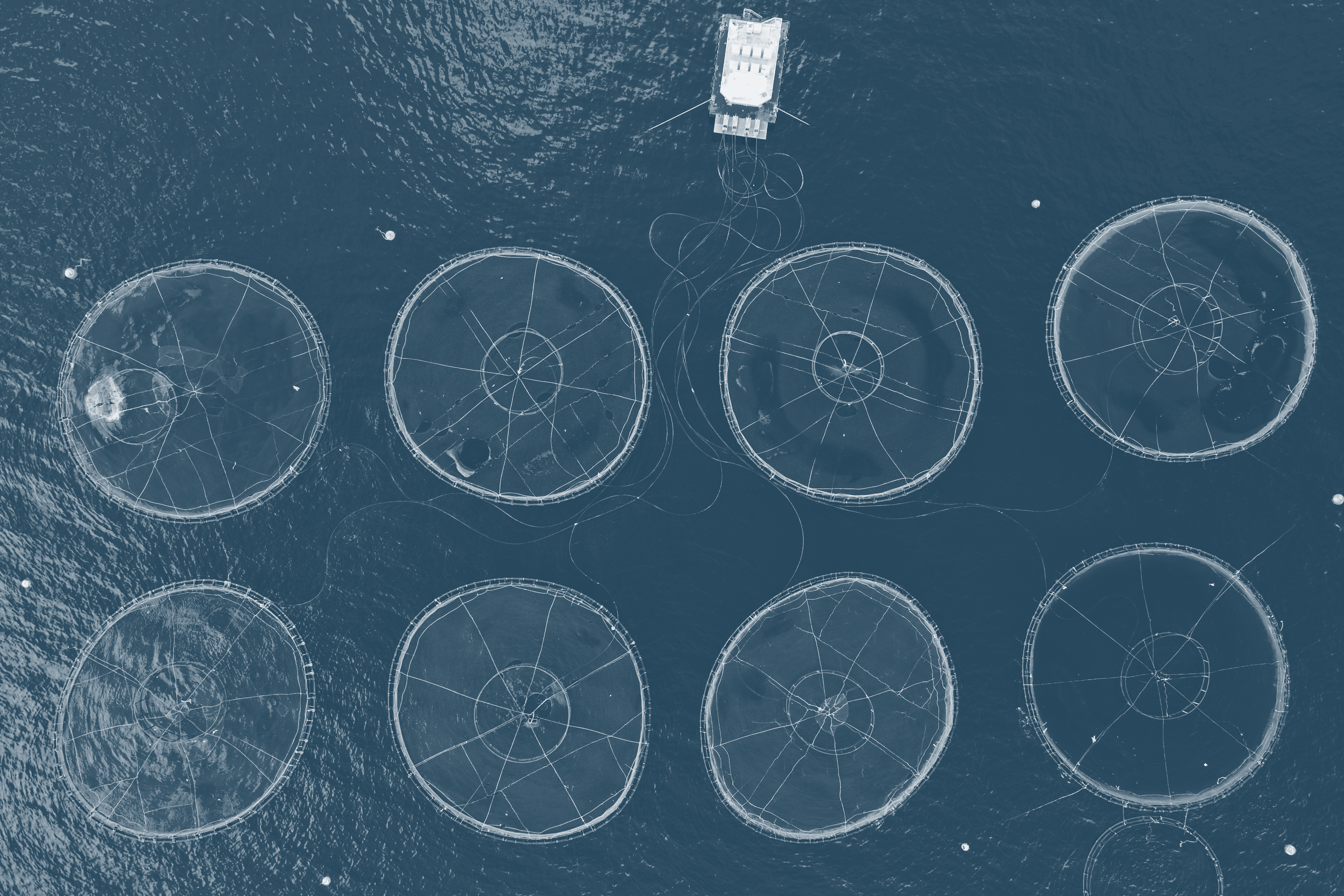 Image related to Judge highlights the dangers of a replacement expert using the original expert’s report as a source to “anchor” their opinion