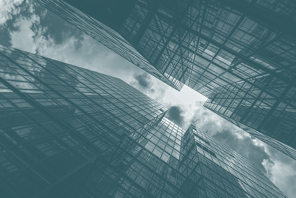 Image related to Meet the Expert Witness - Niralee Casson