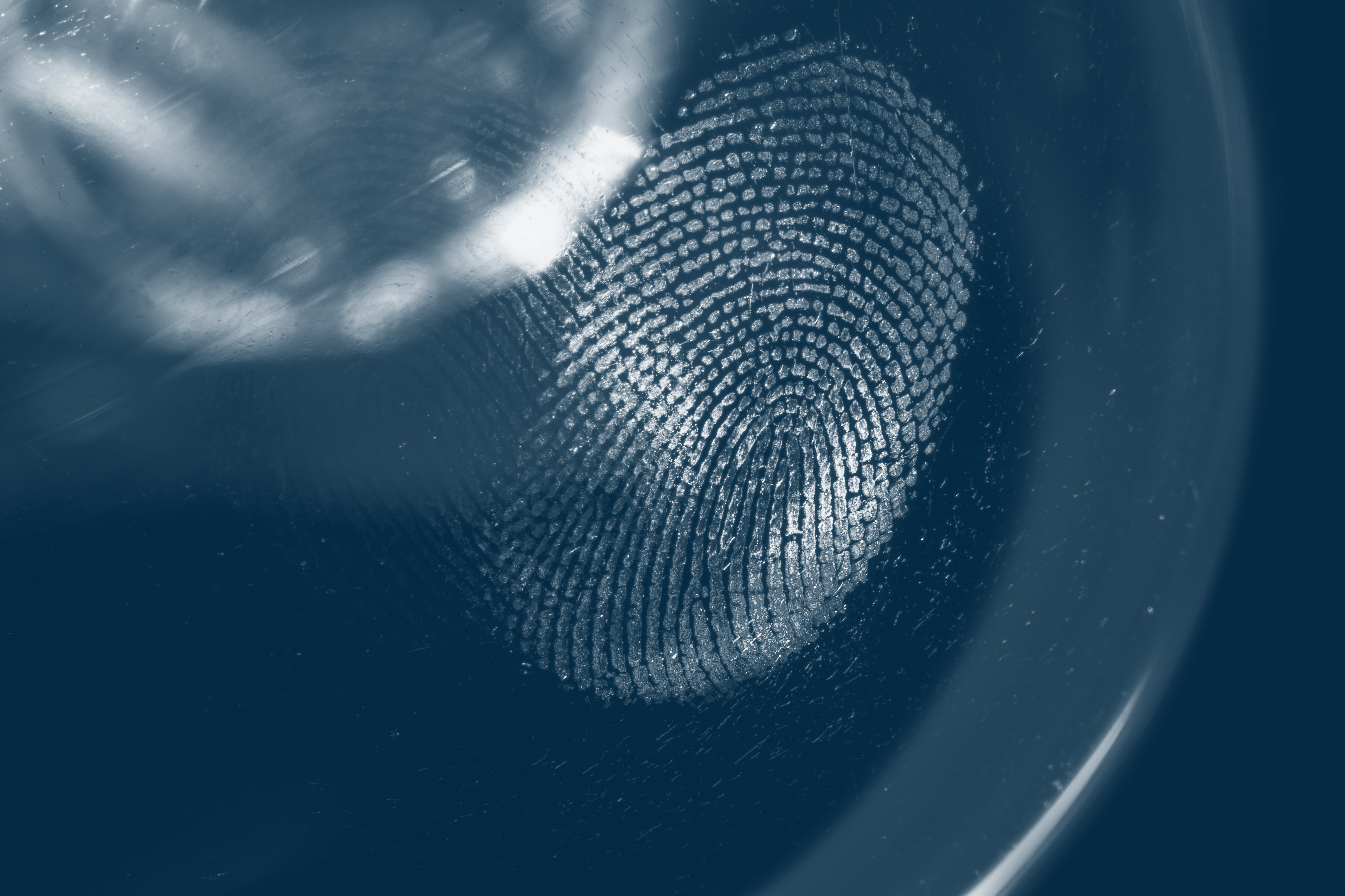 Image related to Why expert reports must stick to the facts, and avoid posing a “distraction”