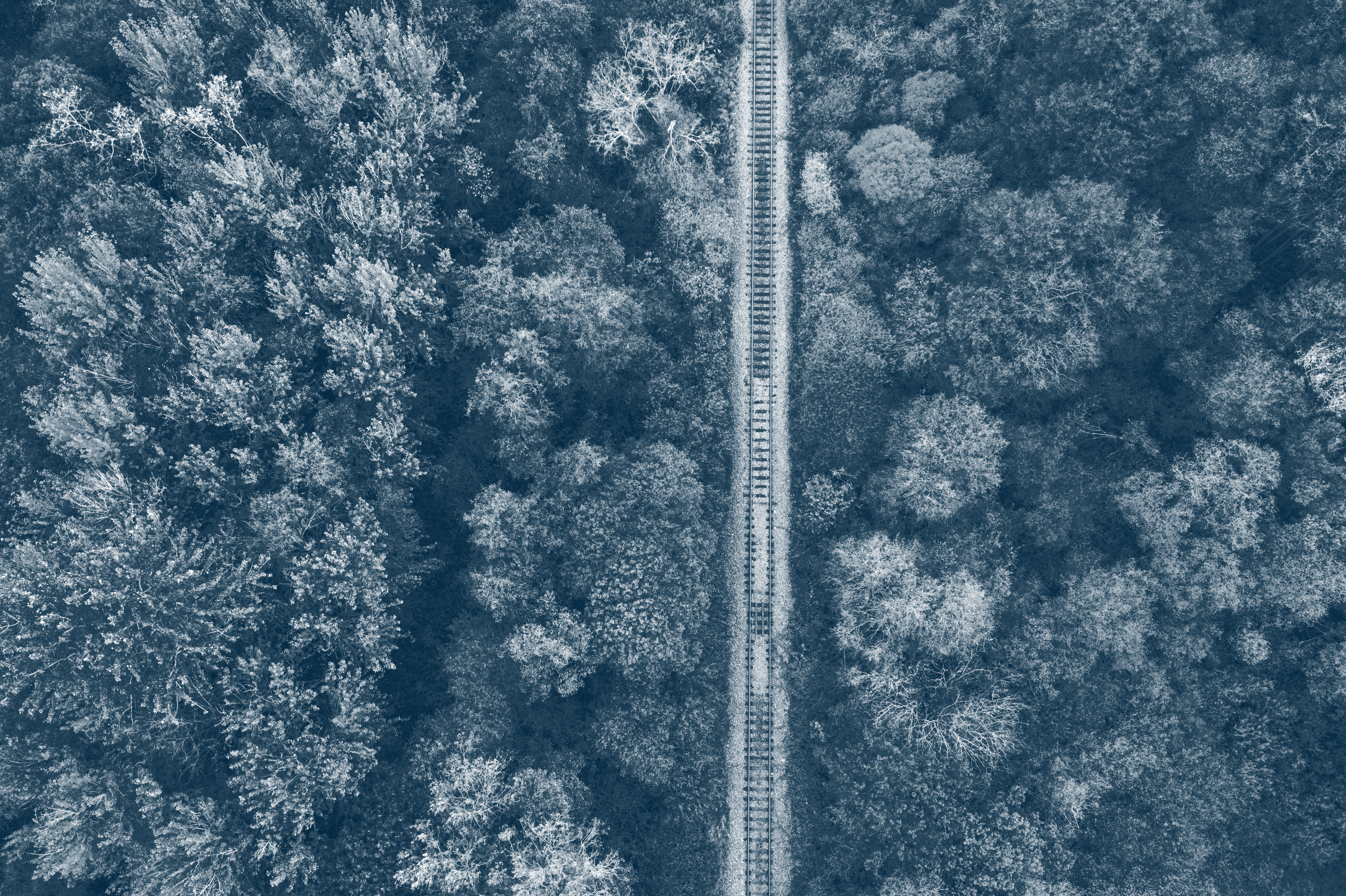 Image related to Recognising and combating modern slavery in the UK