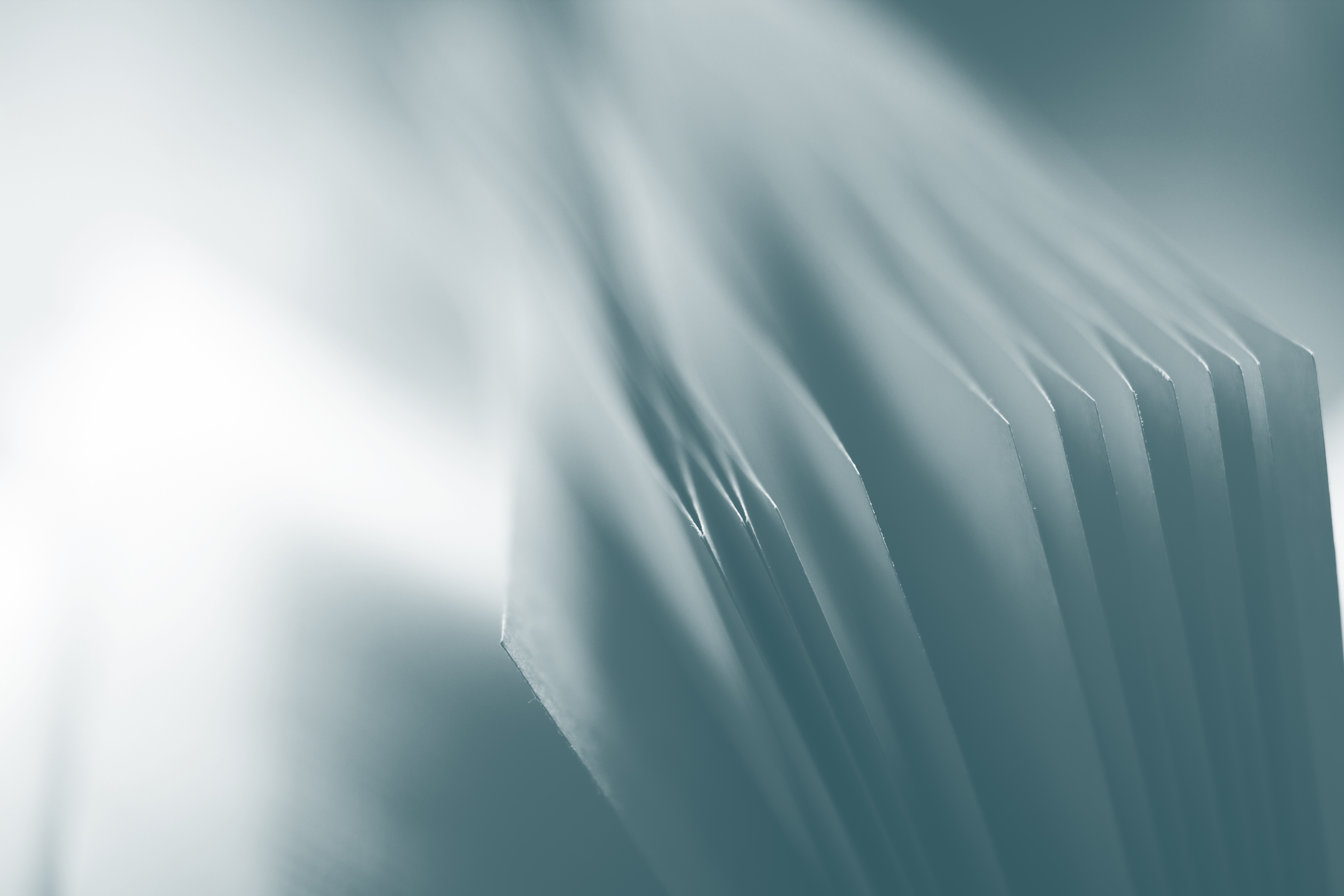 Image related to Human Rights at the core of Health and Social Care