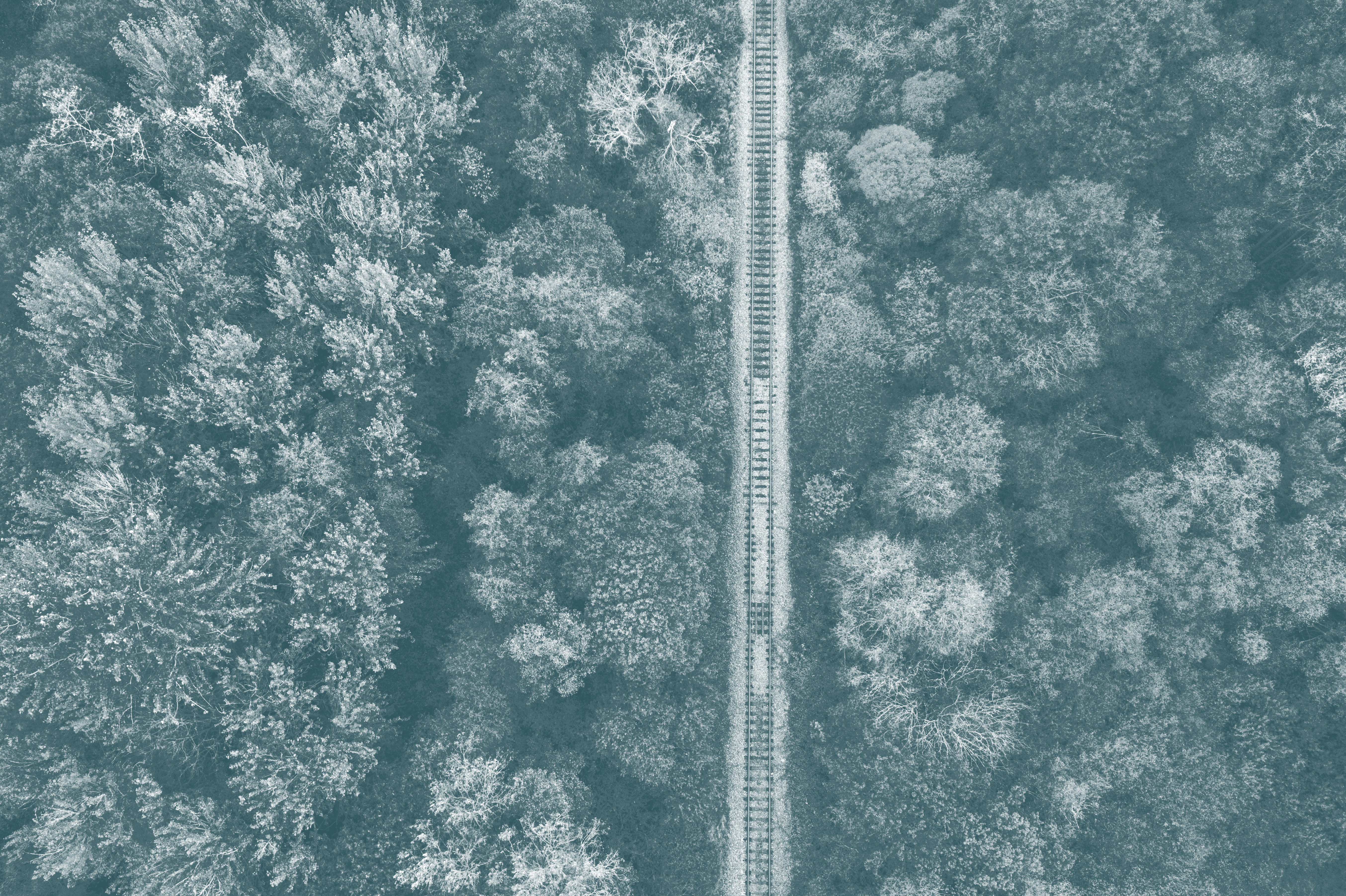 Image related to Judge expressed his wariness of expert “heavily involved in the business of litigation”